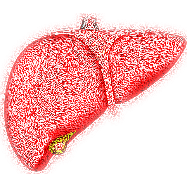 Obesity and Liver Health – Preventing Fatty Liver Disease